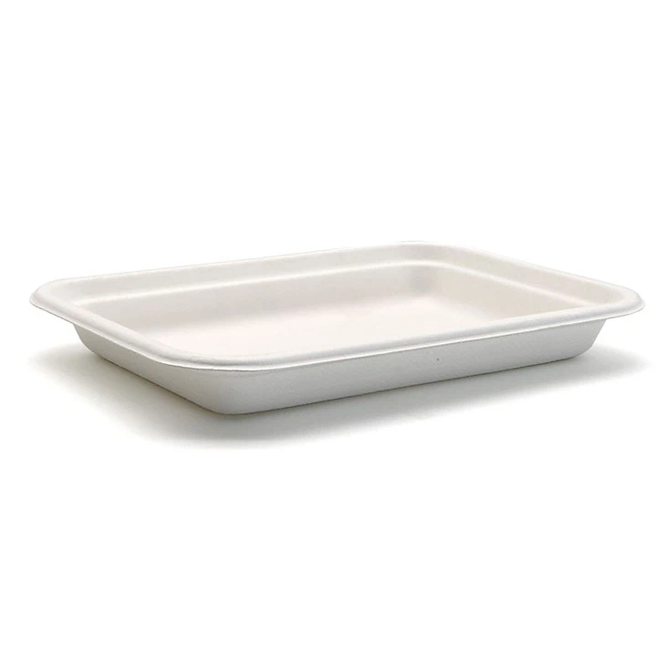 Disposable Trays Food