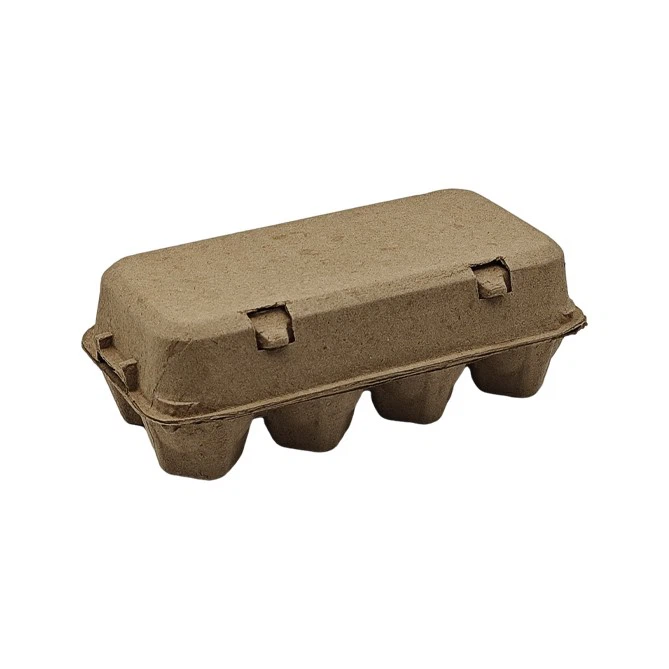 Eggs Carton