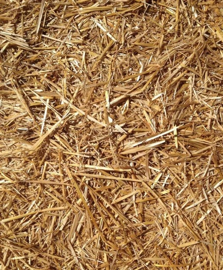 straw material 03 straw material 03