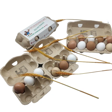 straw pulp egg carton straw pulp egg carton