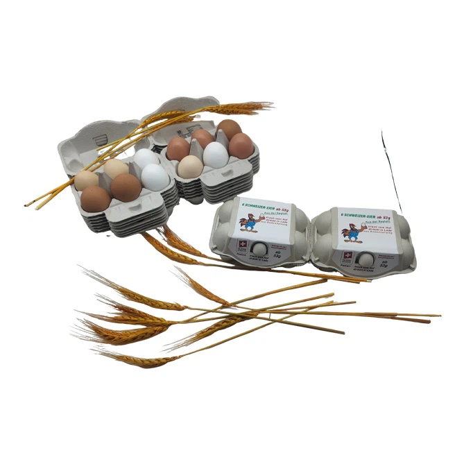 Eggs Packaging Box
