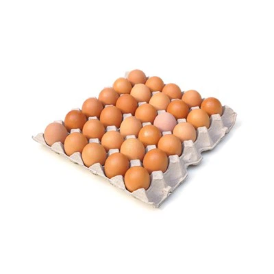 Egg Flats