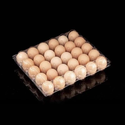 Eggekartonger i plast
