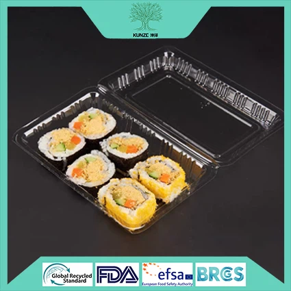 Plastic Sushi Container